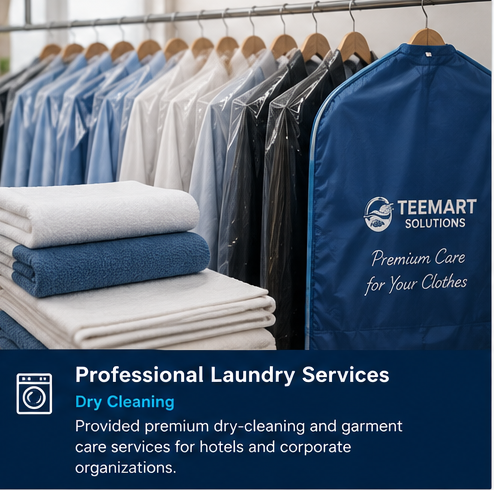 Professional Laundry Services